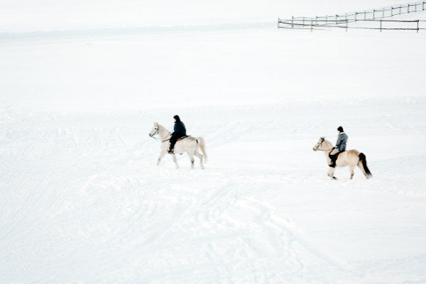 Winter Fitness – so hältst Du Dein Pferd auch im Winter fit