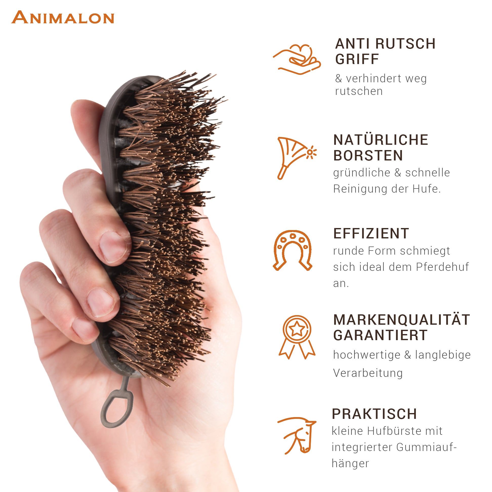 Naturborsten Hufbürste