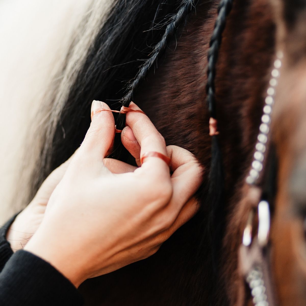 Mähnen- Einflechtgummis