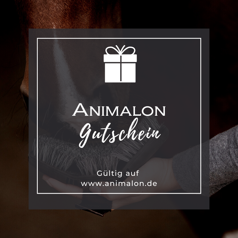 Geschenk Gutschein