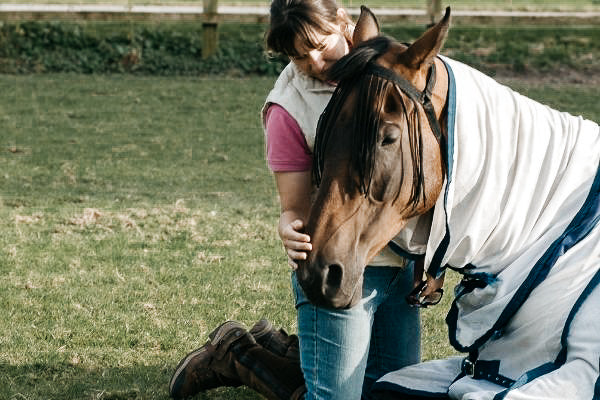 Magengeschwüre beim Pferd