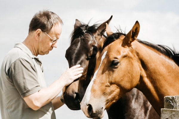 6 Basic-Tipps für Pferdebesitzer mit Köpfchen