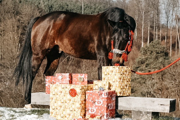 Weihnachtsgeschenke für Reiter